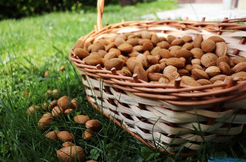 Bitter almond used in coconut-free serum for acne
